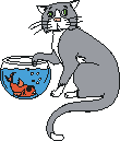 Me pareci� ver un lindo gatito...